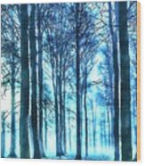 Misty Woods Wood Print