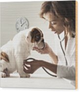 Mixed Race Female Veterinarian Examining Puppy Wood Print