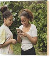 Mixed-race Teenage Sisters Looking At Mobile Phone In Backyard. Wood Print