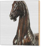 Model Of An Ecorche Horse, After The Mattei Horse Of The 1580s Wood Print