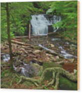 Mohican Falls Ricketts Glen Painting Wood Print