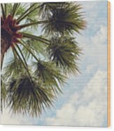 Monaco Palm Wood Print