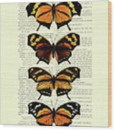 Monarch Butterfly Collection Wood Print
