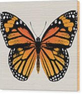 Monarch Butterfly Wood Print