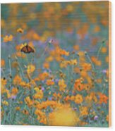 Monarch In Pollinator Meadow Bu10666 Wood Print