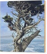 Monterey Peninsula Point Lobos Wood Print