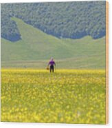 Monti Sibillini National Park, Italy 1 Wood Print