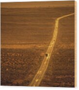 Monument Valley Highway Wood Print