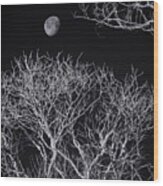 Moon And Bare Trees 6957 Wood Print
