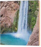 Mooney Falls Wood Print