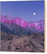 Moonset At Dawn Eastern Sierras Alabama Hills California Wood Print