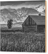 Mormon Row Wood Print