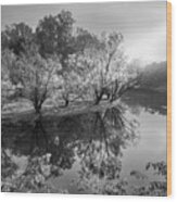 Morning Reflections On The River Black And White Wood Print