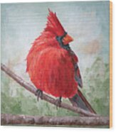 Morning Song - Cardinal Painting Wood Print
