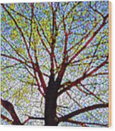 Mosaic Tree Wood Print