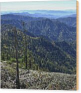 Mount Leconte 11 Wood Print