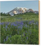 Mount Rainier Brilliant Meadow Wood Print