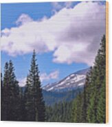 Mount Rainier National Park Wood Print