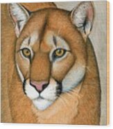 Mountain Lion Cougar Wild Cat Wood Print