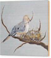 Mourning Dove Wood Print
