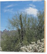 Mt Kimball And Desert Vegetation Wood Print