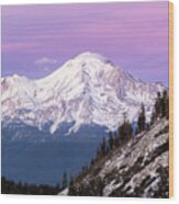Mt. Shasta In Pink Wood Print