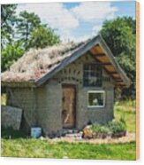 Mud Hut With Grassy Roof Wood Print