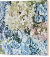 Multi Colored Hydrangea Wood Print