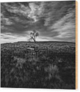 Murray Tree Monochrome Wood Print