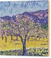 Mustard In The Olive Grove In Napa Valley Wood Print