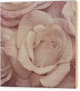 Muted Roses Wood Print