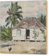 Native Hut At Nassau Wood Print