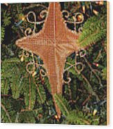 Nativity Star Wood Print
