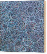 Natural Neurons - Eriogonum Deflexum Wood Print
