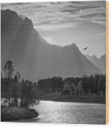 Nature At Oxbow Bend Wood Print