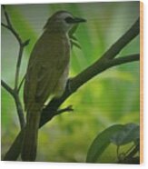 Singapore Bird Wood Print