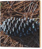 Nature Photography - Pine Cone 2 Wood Print