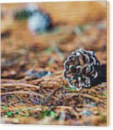 Nature Photography - Pine Cone Wood Print