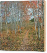 Nature Trail Wood Print