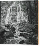 Nelson Falls, Tasmania, Australia 2 Wood Print