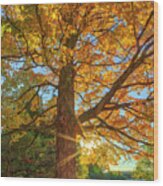 New England Fall Foliage Peak Colors Wood Print