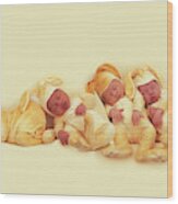 Newborn Bunnies #1 Wood Print