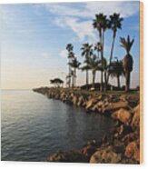Newport Beach Jetty Balboa Peninsula California Wood Print