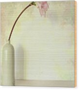 Pink Easter Lily Wood Print