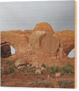 North And South Window Arches Np Wood Print