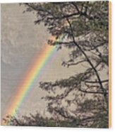 Northern Forest Rainbow Wood Print
