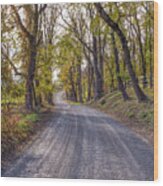Northern Virginia Country Road Wood Print