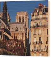 Notre Dame Cathedral And Parisian Building - Paris Wood Print