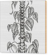 Nurtured Strength Spine Plant Support Wood Print