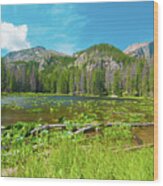 Nymph Lake, Rocky Mountain National Park, Colorado, Usa, North America Wood Print